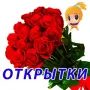 Поздравления на все случаи логотип
