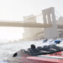 The Crew 2 логотип
