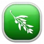 Olive Video Editor логотип