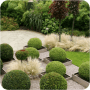 Garden Design Ideas логотип