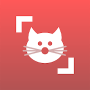 Cat Scanner логотип