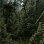 Кощей Бессмертный логотип