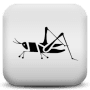 Crickets логотип