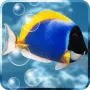 Aquarium Free Live Wallpaper логотип