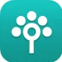 Songtree - Совместная Запись Музыки логотип
