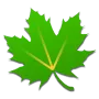 Greenify логотип