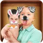 Face Swap логотип