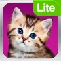 Мои питомцы. Кошки Lite логотип