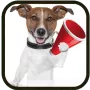 Dog Sounds логотип