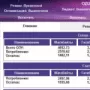OZU Optimizer логотип