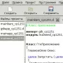 Делавар логотип