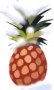 Ananas логотип