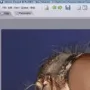Helicon Focus логотип