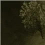Hot Racing логотип