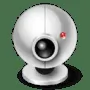 Perfect Fake Webcam логотип