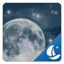 Starry Night Boat Theme логотип