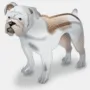 ModemWatchDog логотип