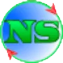 Network Security Auditing логотип