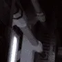 Tremulous логотип