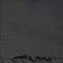 True Combat: Elite логотип