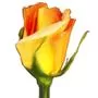 Rosegarden логотип