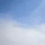 Мост логотип