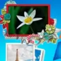 Free Photo Frame логотип