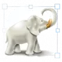 Image Tuner логотип