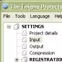 Enigma protector логотип
